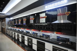 何止大吸力更乎大關(guān)懷 帥康引領(lǐng)家居品質(zhì)升級(jí)的技術(shù)開發(fā)之路